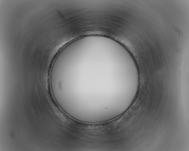 X0000115600345200911100956