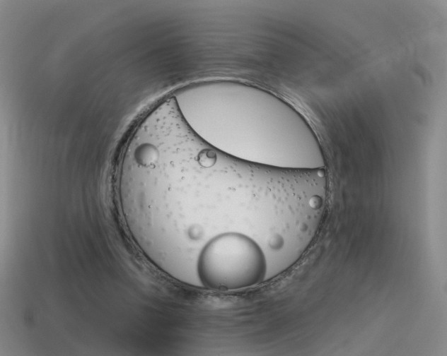 X0000115600346200911100956