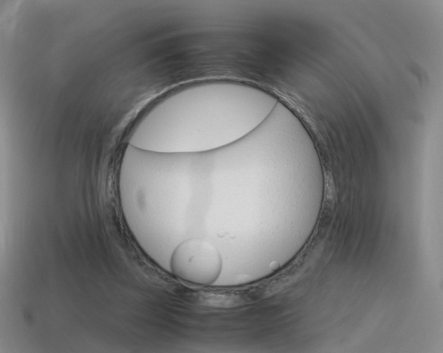 X0000115600347200911100956