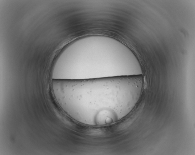 X0000115600349200911100956