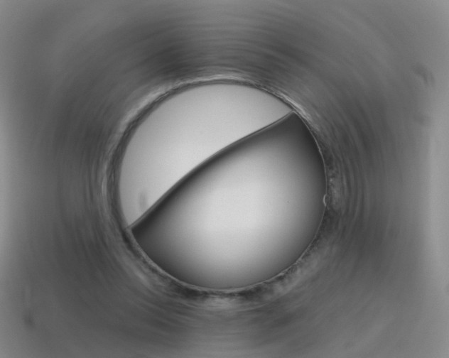 X0000115600350200911100956