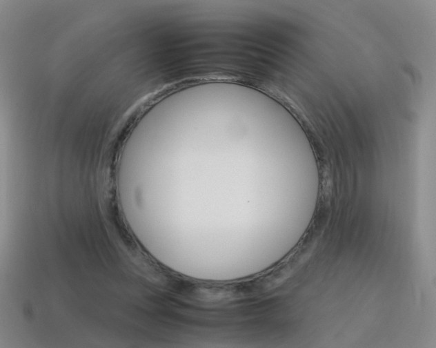 X0000115600351200911100956
