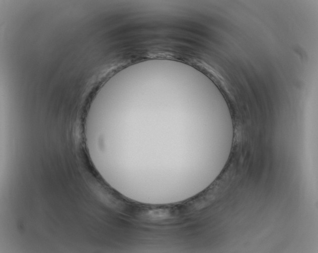 X0000115600353200911100956