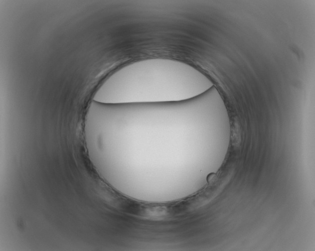 X0000115600355200911100956