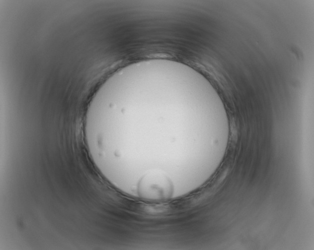 X0000115600359200911100957