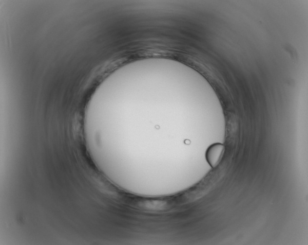 X0000115600361200911100957