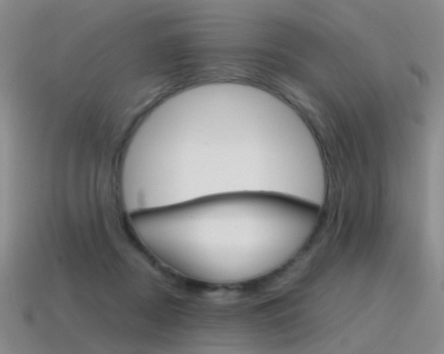 X0000115600362200911100957