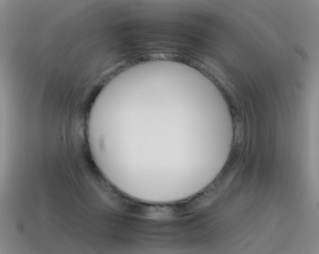 X0000115600363200911100957