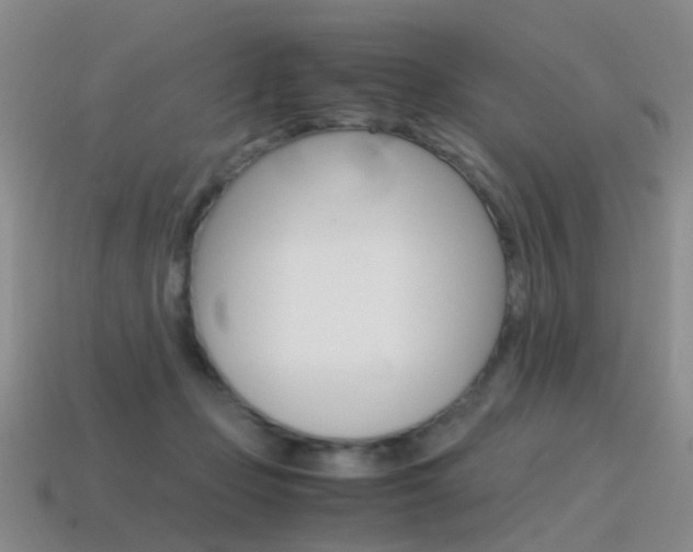 X0000115600365200911100957