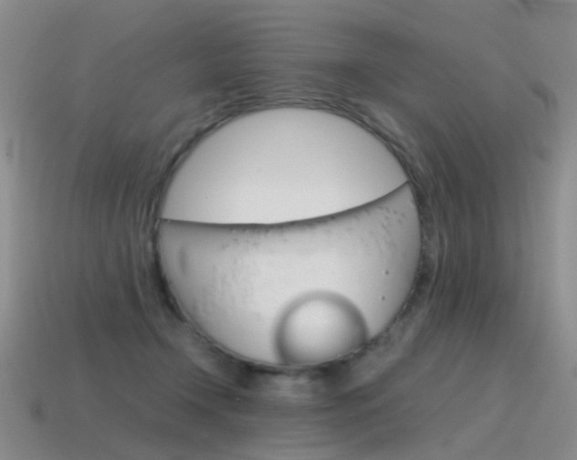 X0000115600366200911100957