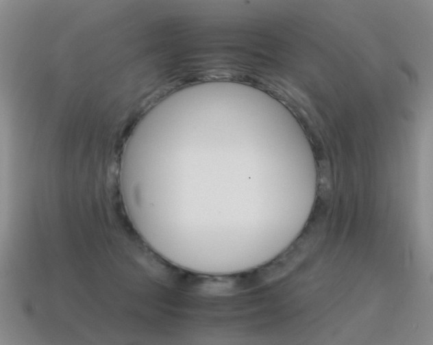 X0000115600369200911100957