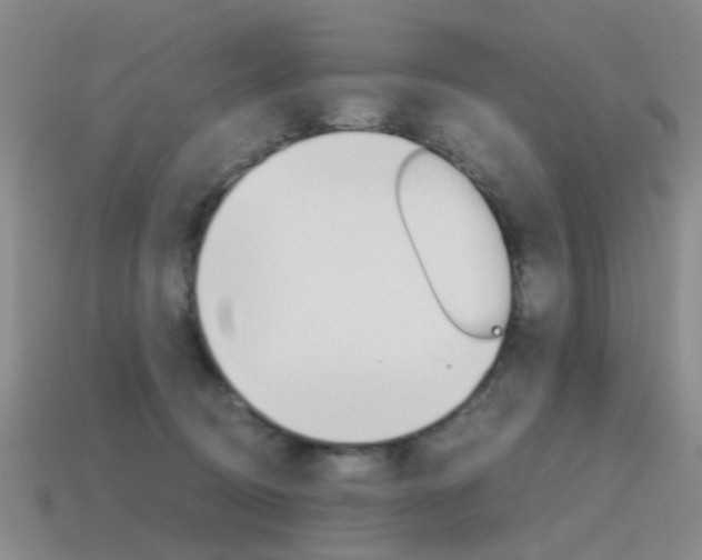X0000115600370200911100957