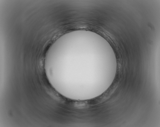 X0000115600373200911100957