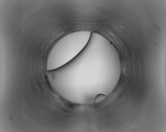 X0000115600374200911100957