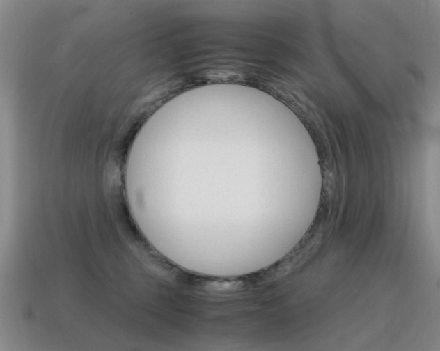 X0000115600375200911100957