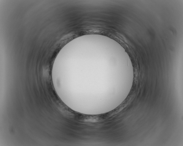 X0000115600377200911100957
