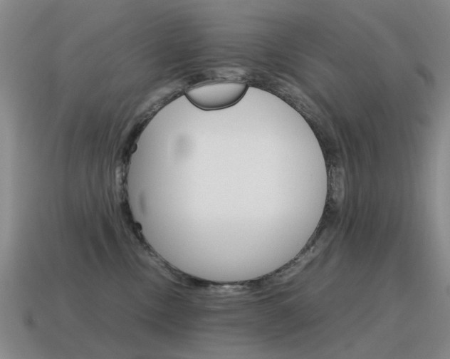 X0000115600378200911100957
