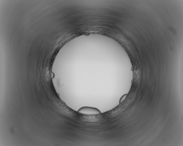 X0000115600381200911100957