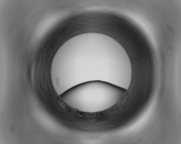 X0000115600382200911100957