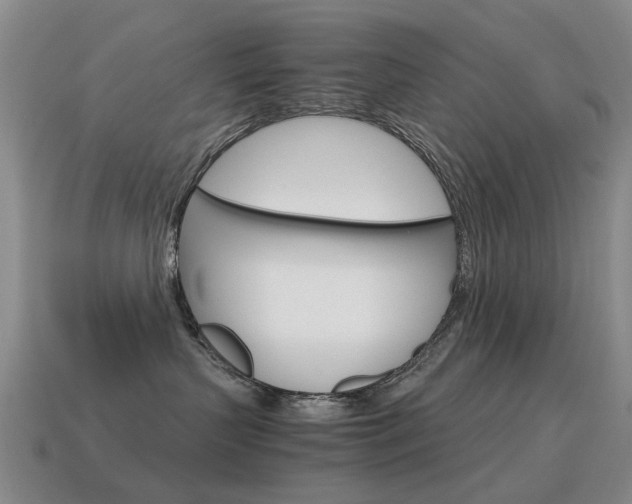 X0000115600383200911100957