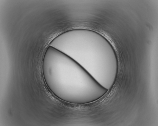 X0000115600385200911100956