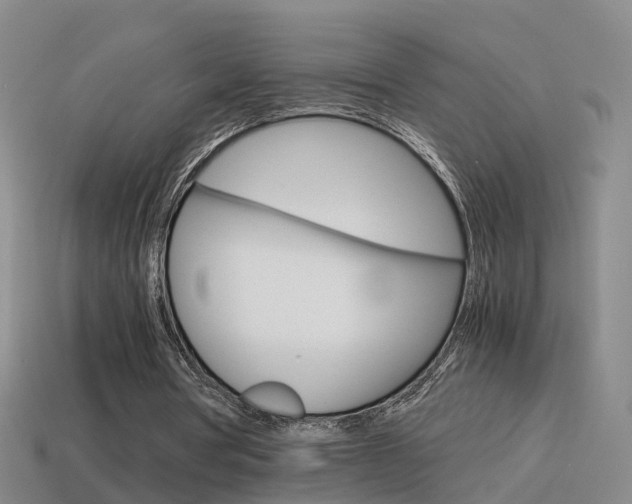 X0000115600386200911100956