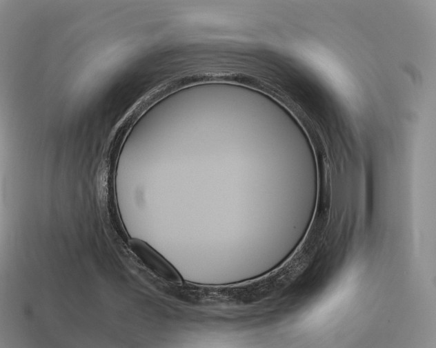 X0000115600387200911100956