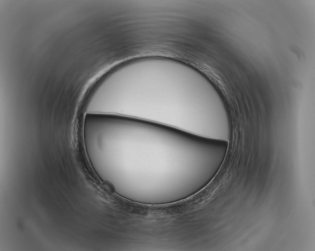 X0000115600388200911100956