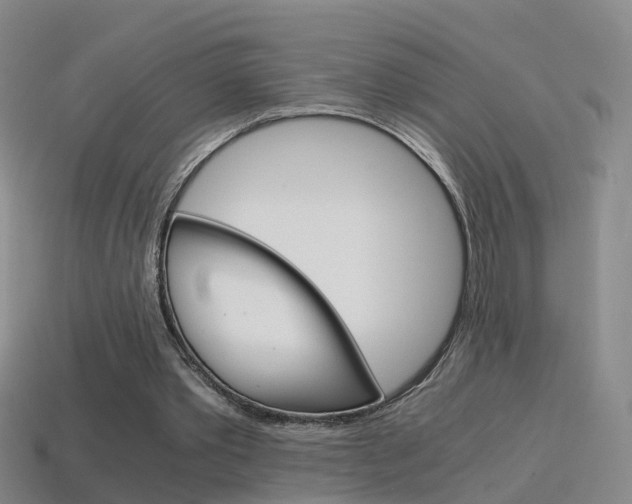 X0000115600389200911100956