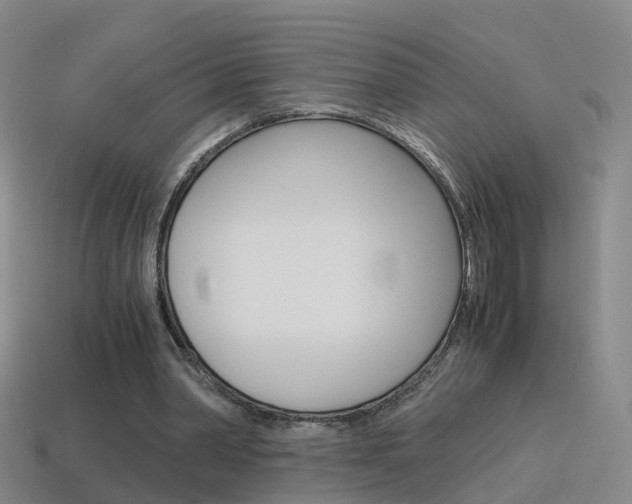 X0000115600390200911100956
