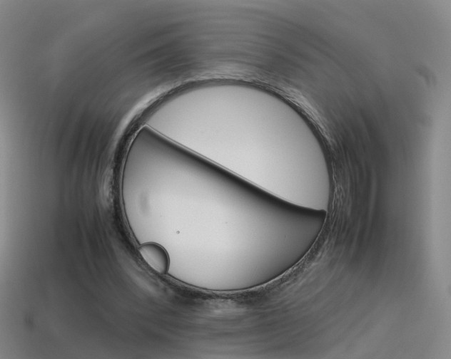 X0000115600392200911100956