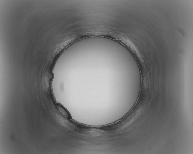 X0000115600393200911100956