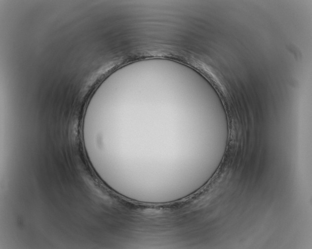 X0000115600394200911100956