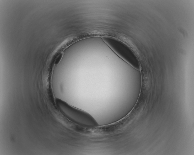 X0000115600395200911100956