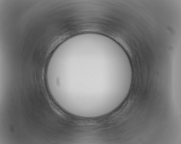 X0000115600397200911100956