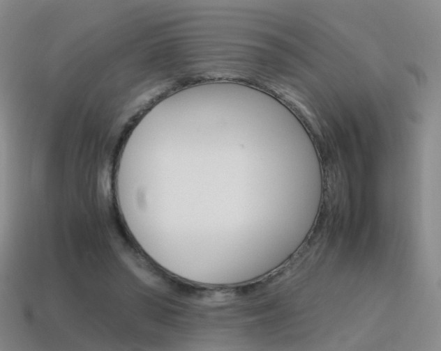 X0000115600398200911100956