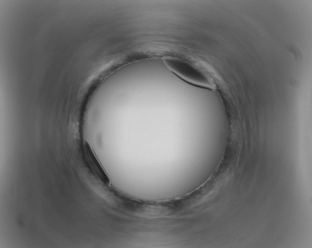 X0000115600399200911100956
