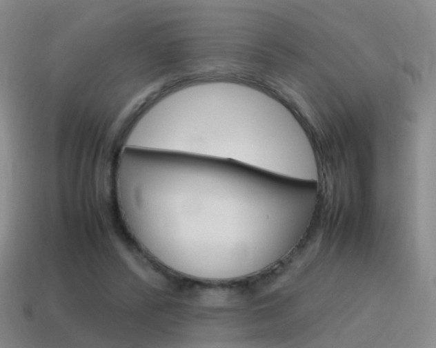X0000115600400200911100956