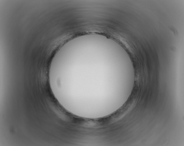 X0000115600402200911100956