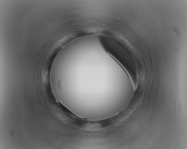 X0000115600403200911100956
