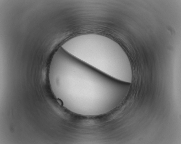X0000115600404200911100956
