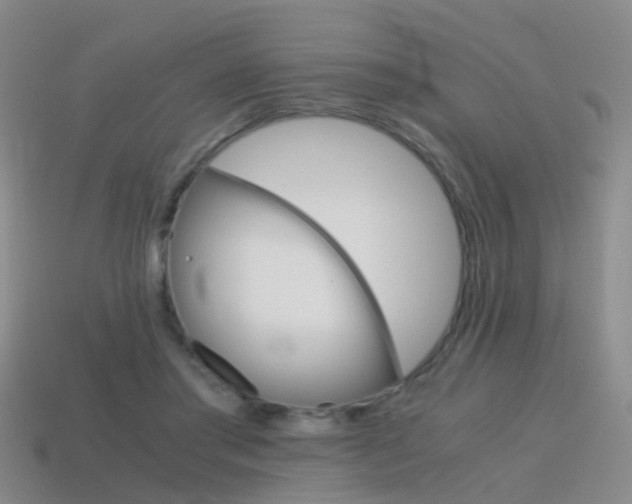 X0000115600405200911100956