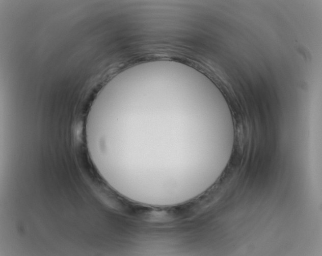 X0000115600406200911100956