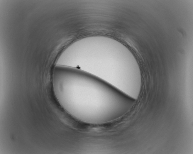 X0000115600407200911100956