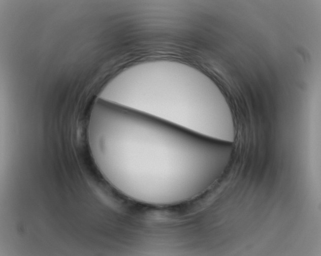 X0000115600408200911100956