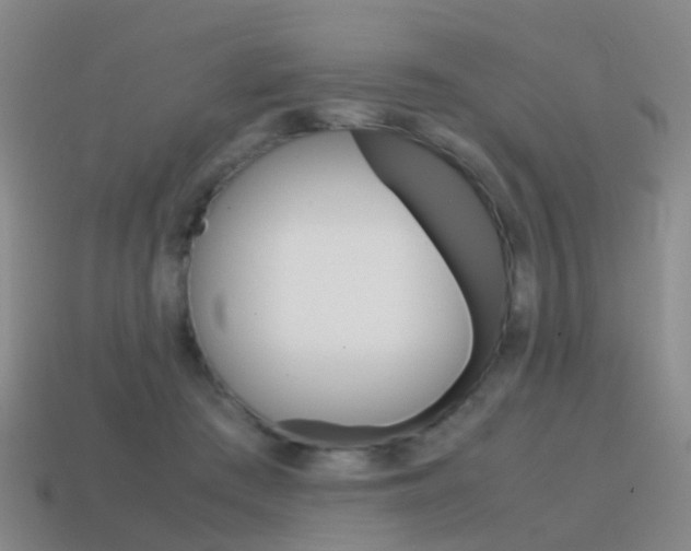 X0000115600409200911100956