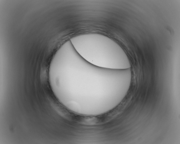 X0000115600410200911100956