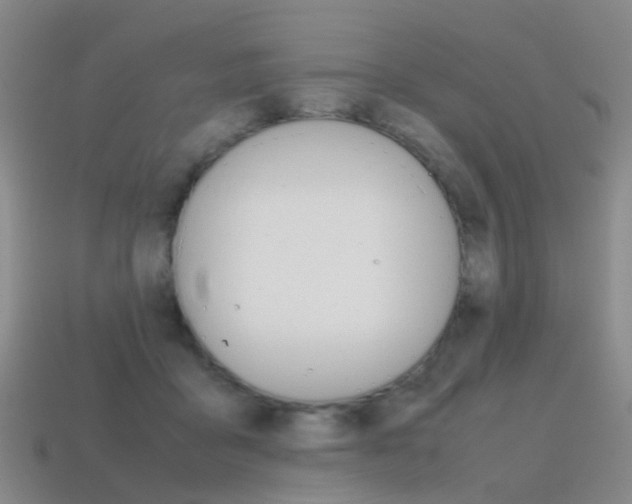 X0000115600411200911100956