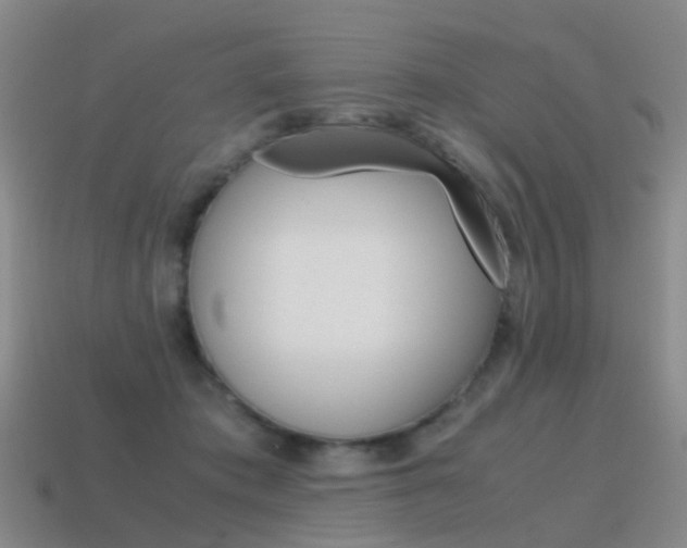 X0000115600413200911100956