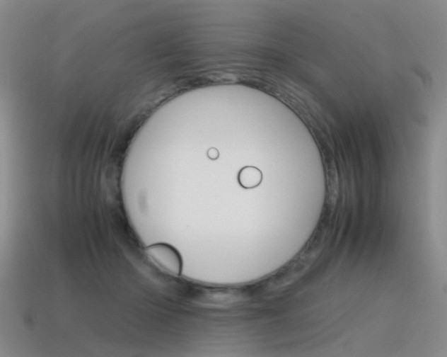 X0000115600414200911100956
